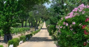 Parcs et jardins de l'Hérault