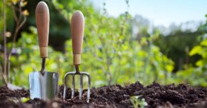 Le Guide ultime pour les débutants en jardinage
